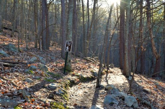 Pine Mountain Recreation Area